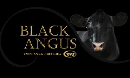 Sirloin Black Angus